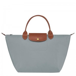 Sac a Main Longchamp Le Pliage Original M Femme Grise | 3215-FLHOD