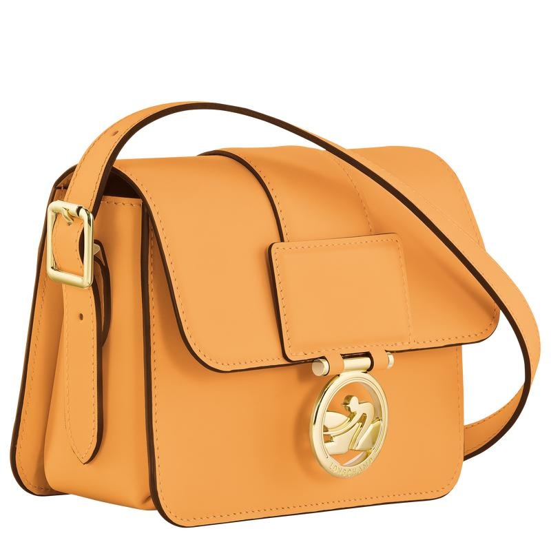 Sac Bandoulière Longchamp Box-Trot S Femme Abricot Orange | 3685-FOTUE