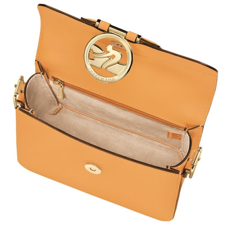 Sac Bandoulière Longchamp Box-Trot S Femme Abricot Orange | 3685-FOTUE