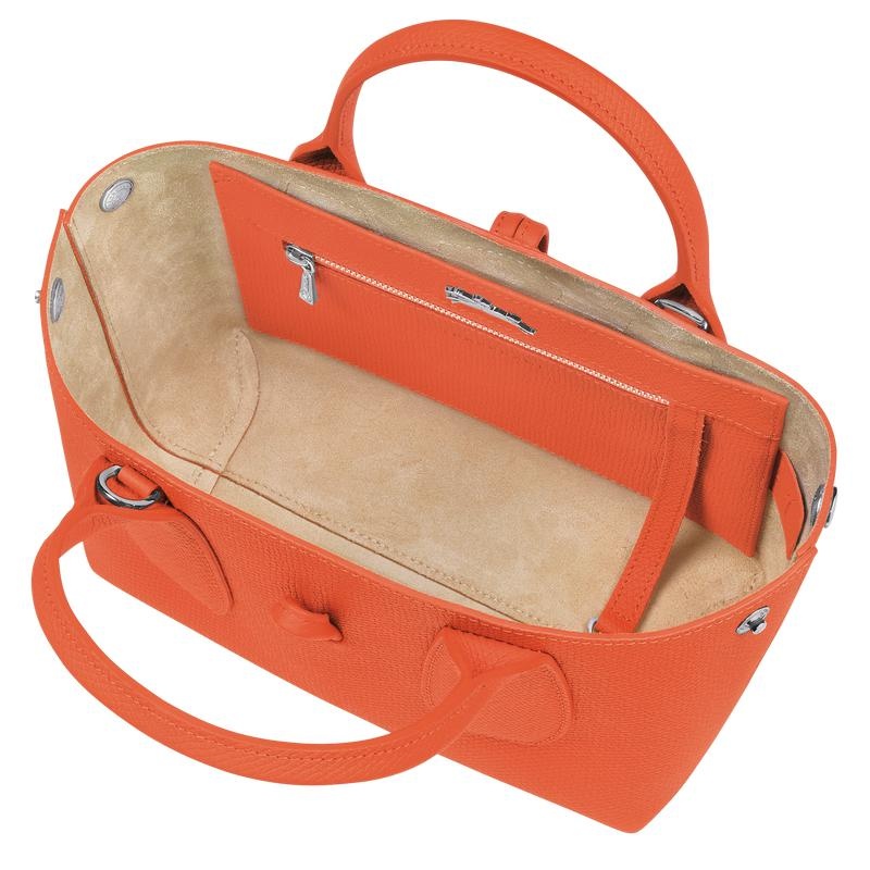 Sac a Main Longchamp Roseau S Femme Orange | 0643-QWORH