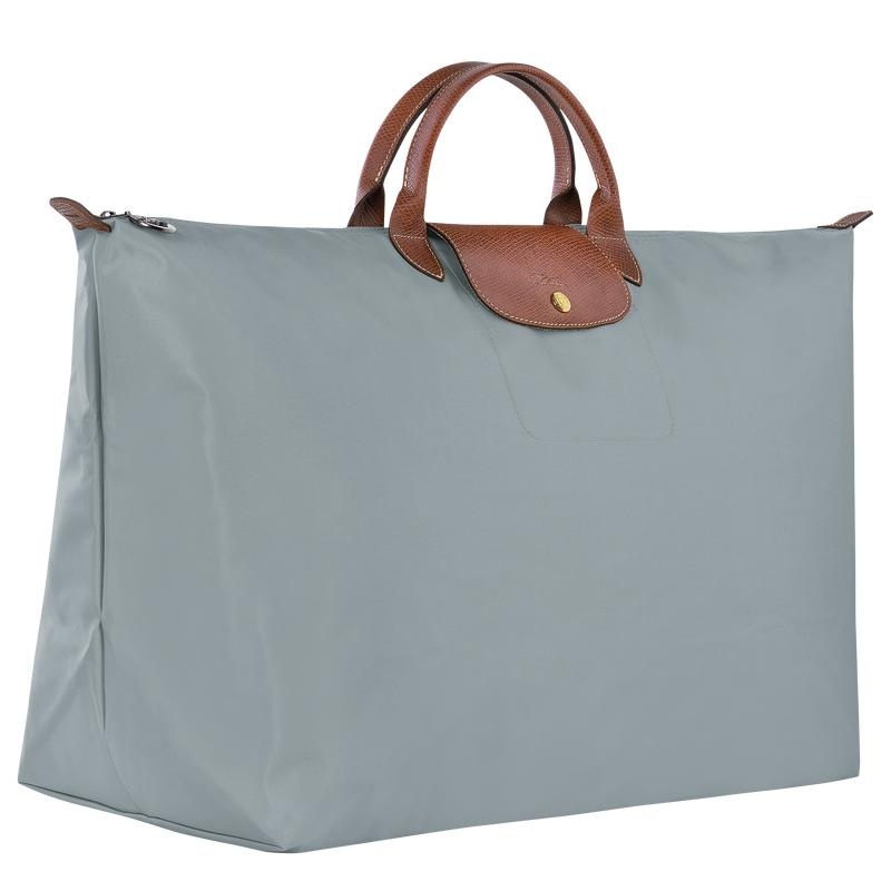 Sac de Voyage Longchamp Le Pliage Original M Femme Grise | 2608-RYWIL